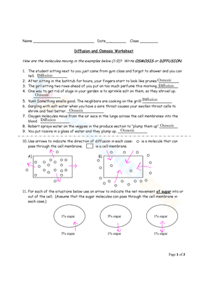 Diffusion-and-osmosis worksheet