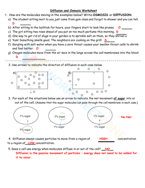 Diffusion and osmosis worksheet 2