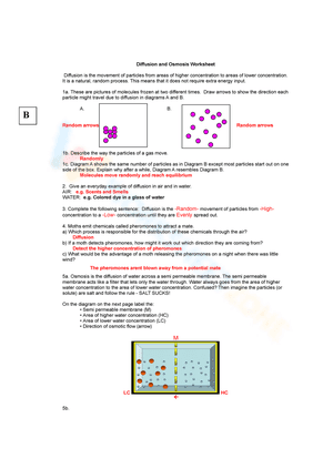 Diffusion and osmosis worksheet 3
