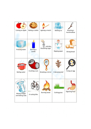 Physical and chemical change worksheet