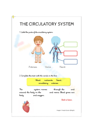 System of circulatory
