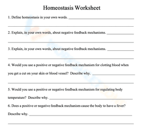 Homeostasis worksheet