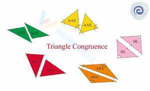 Triangle congruence 
