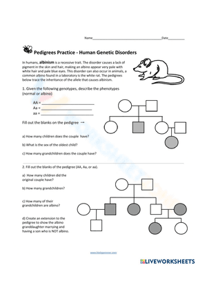 Pedigree worksheet 2