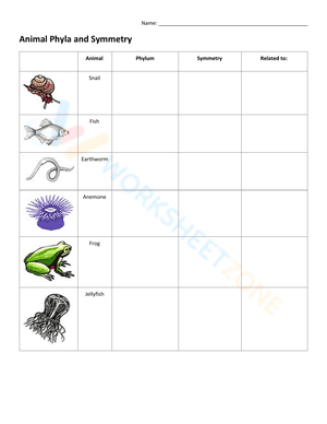 Animal phyla and symmetry worksheet