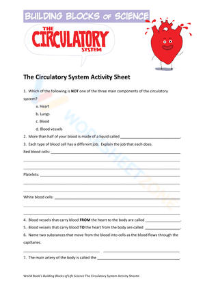Circulatory Activity Sheet