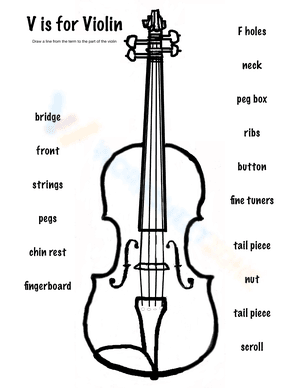 Parts of the violin Matching