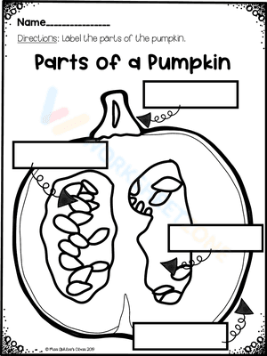 Parts of the pumpkin worksheet 1