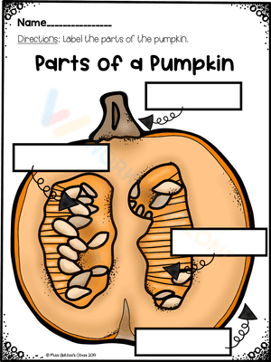 Parts of the pumpkin worksheet 2