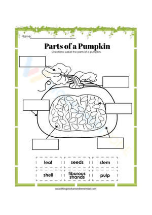 Parts of the pumpkin worksheet 5