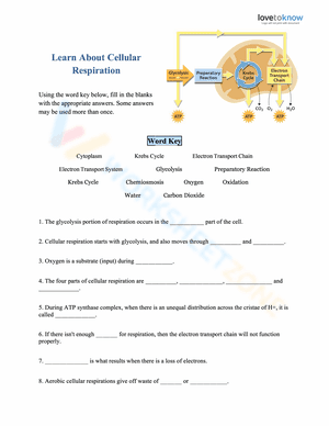 Learn About Cellular Respiration 