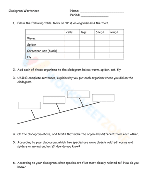 Cladogram Worksheet 2
