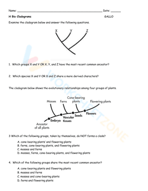 Cladogram Worksheet 3