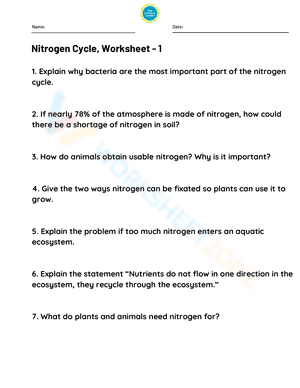 Nitrogen Cycle 1