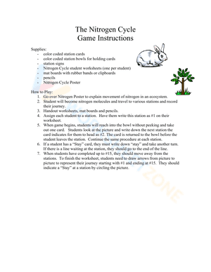 The Nitrogen Cycle Game Instructions