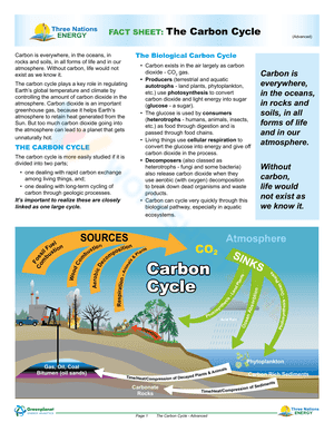 The Carbon Cycle
