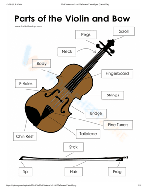 Parts of violin worksheet