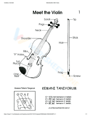 Parts of violin