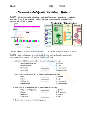Monomers and Polymers Worksheet 
