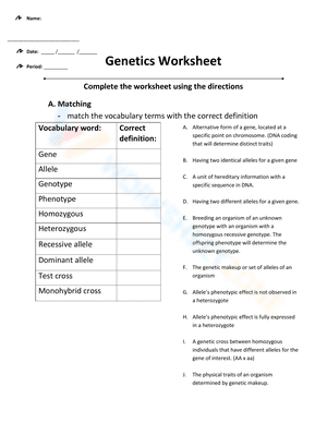 Genetics Worksheet