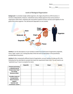 Levels of biological organization worksheet 5