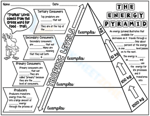 The pyramid energy