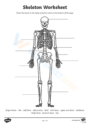 Skeleton Worksheet