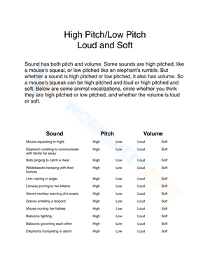 High Pitch/Low Pitch