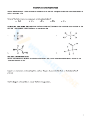macromolecule worksheet