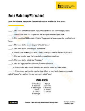 Bone Matching Worksheet
