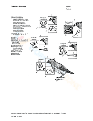 Darwins Finches worksheet 5