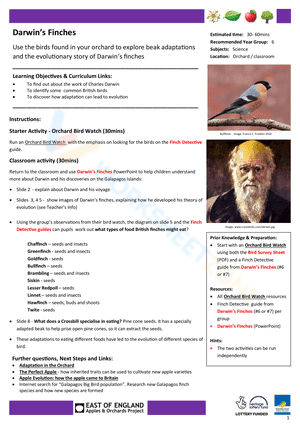 Darwins Finches worksheet 2
