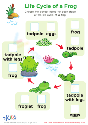 Life cycle of a frog worksheet