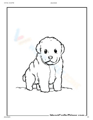 Fluffy puppy