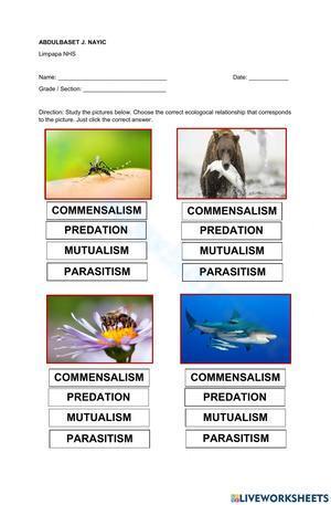 Ecological relationships worksheet 2