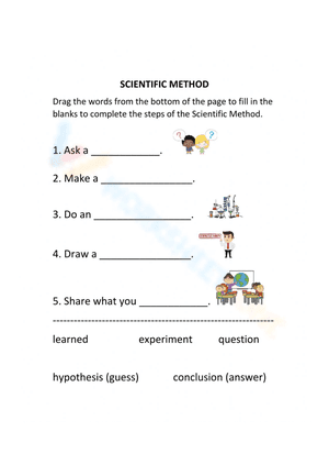 Worksheet: Scientific Methods