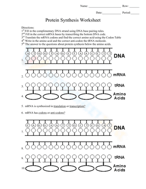 Protein Synthesis Worksheet
