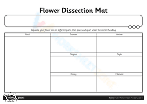 Flower Dissection Mat
