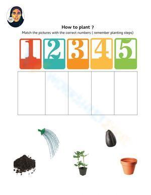 How to plant  