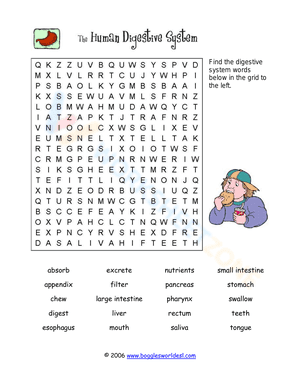 Digestive System Word Search