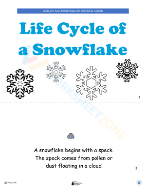 Snowflake Lifecycle