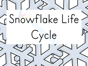 Snowflake life cycle