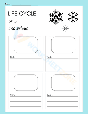 LIFE CYCLE of a snowflake