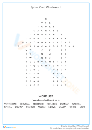 Spinal Cord Wordsearch