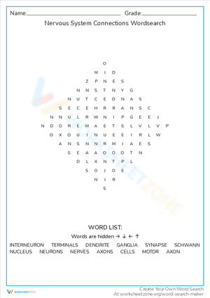 Nervous System Connections Wordsearch