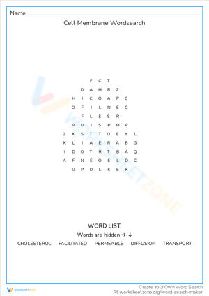 Cell Membrane Wordsearch