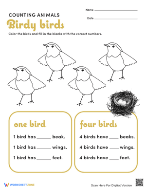 Counting Animals: Birds