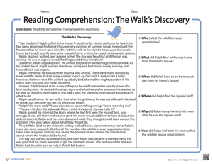 Reading Comprehension: The Walk’s Discovery