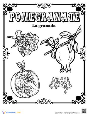 Pomegranate in Spanish