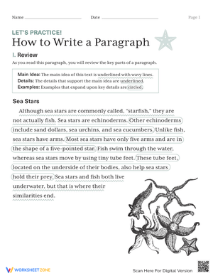Let's Practice! How to Write a Paragraph